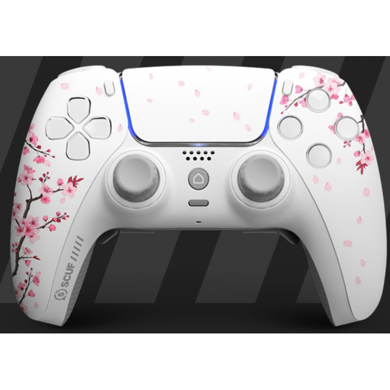 MANETTE PS5 SANS FIL AVEC PALETTES